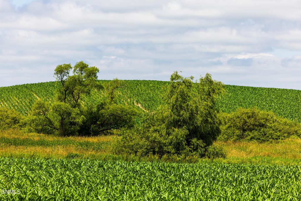 Tbd 370th Street, Erhard, MN 56534 photo 7