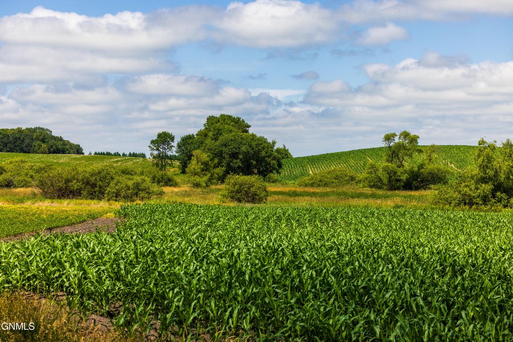 Tbd 370th Street, Erhard, MN 56534 photo 8