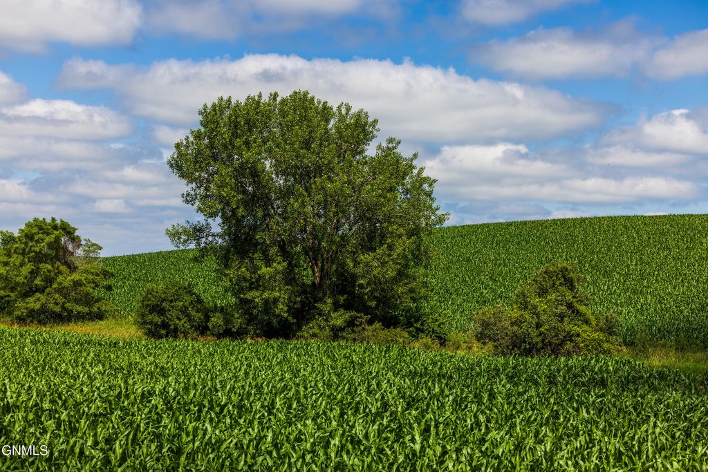 Tbd 370th Street, Erhard, MN 56534 photo 9