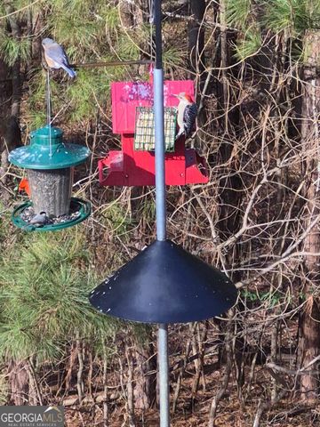 475 Ridgewood Drive, Fayetteville, GA 30215