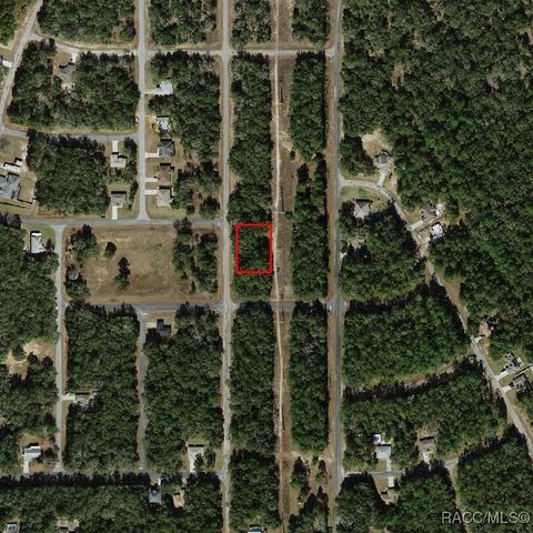 10669 N Allwood Terrace, Dunnellon, FL 34434