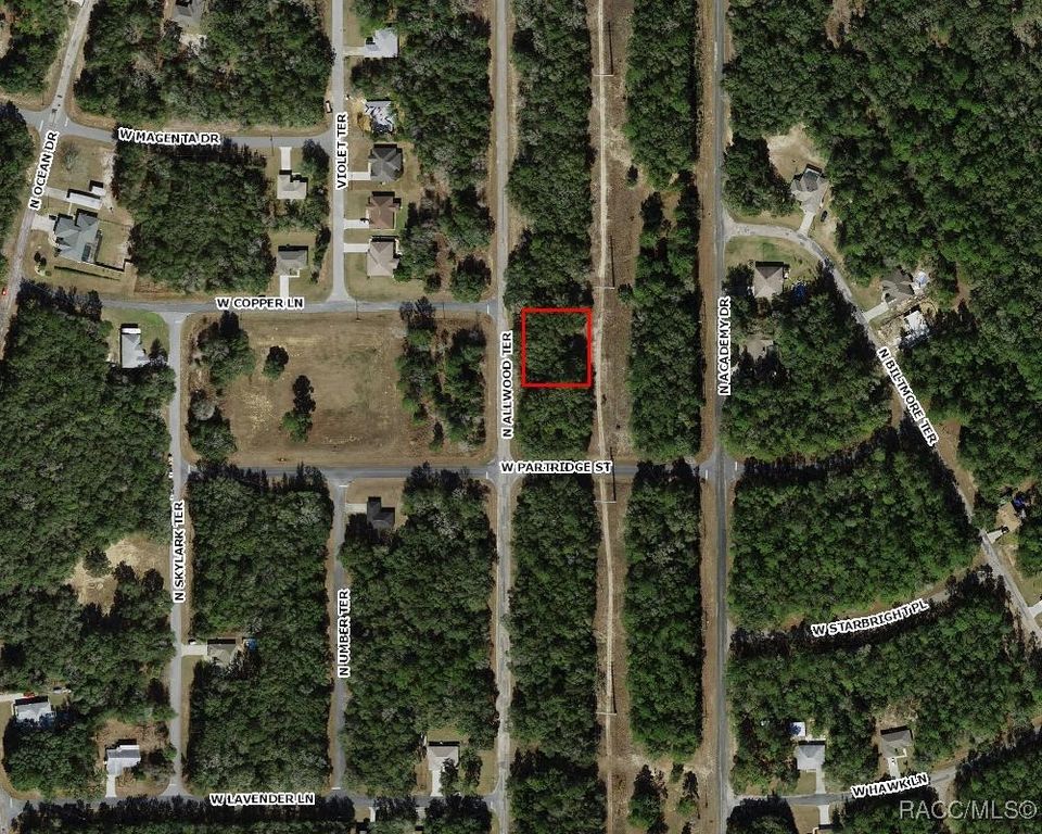 10669 N Allwood Terrace, Dunnellon, FL 34434