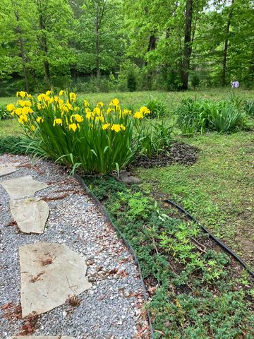 33 Eagle Nest Road, Graysville, TN 37338
