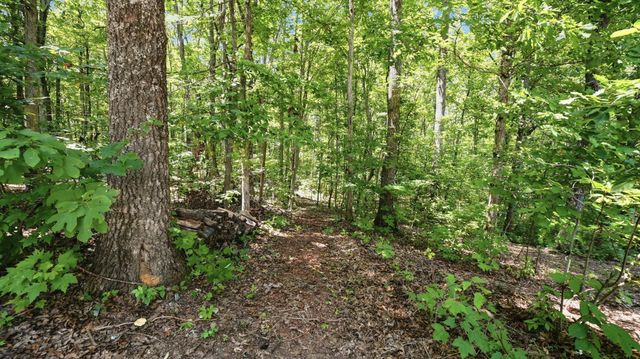 33 Eagle Nest Road, Graysville, TN 37338