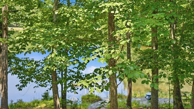 33 Eagle Nest Road, Graysville, TN 37338