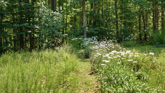 33 Eagle Nest Road, Graysville, TN 37338