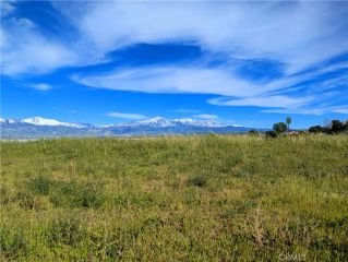 11640 Richardson, Loma Linda, CA 92354