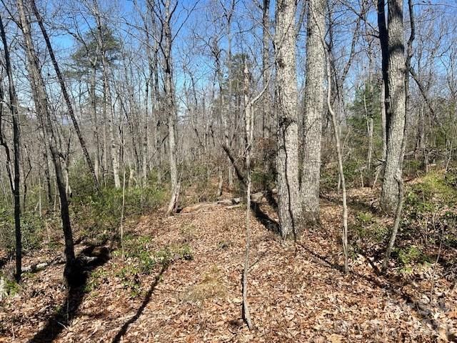TBD Connelly Springs Road 5, Lenoir, NC 28645