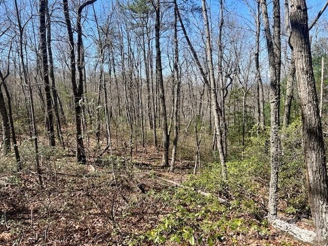 TBD Connelly Springs Road 5, Lenoir, NC 28645