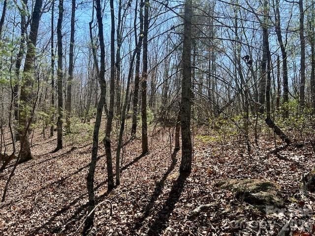 TBD Connelly Springs Road 5, Lenoir, NC 28645
