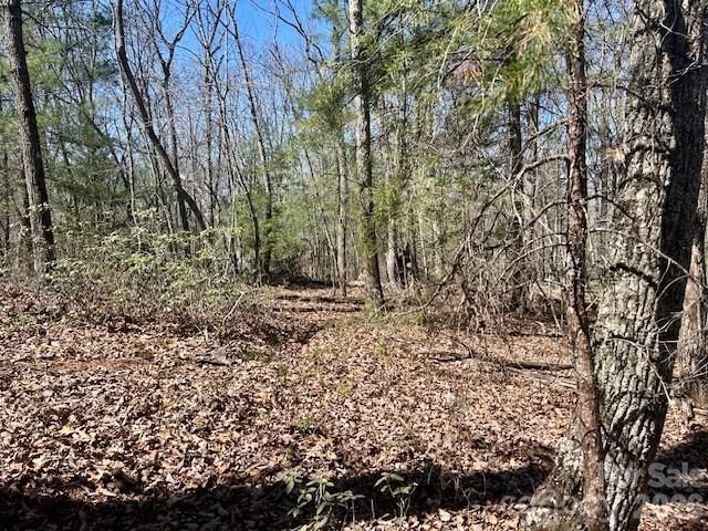 TBD Connelly Springs Road 5, Lenoir, NC 28645