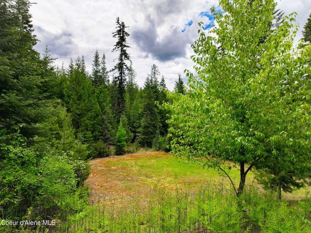 629 Flat Creek Rd, St. Maries, ID 83861