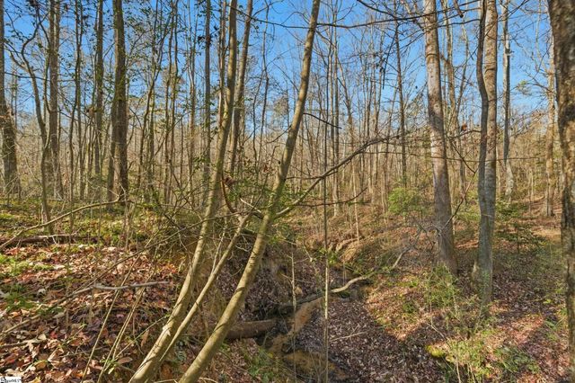 132 Deer Creek Court, Easley, SC 29642