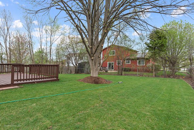 6855 Dove Avenue, Woodridge, IL 60517