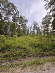 0 Old Lockhart Rd, Tennessee Ridge, TN 37178