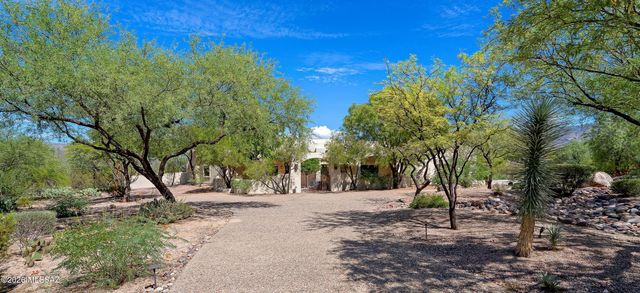 11731 E Lusitano Place, Tucson, AZ 85748
