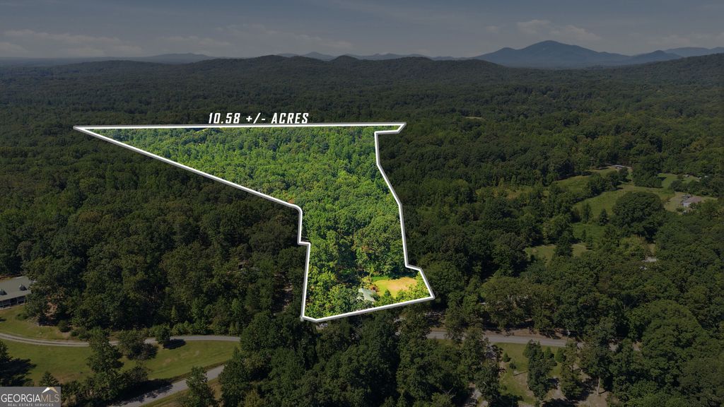 106 Goss Road, Clarkesville, GA 30523 — photo 3