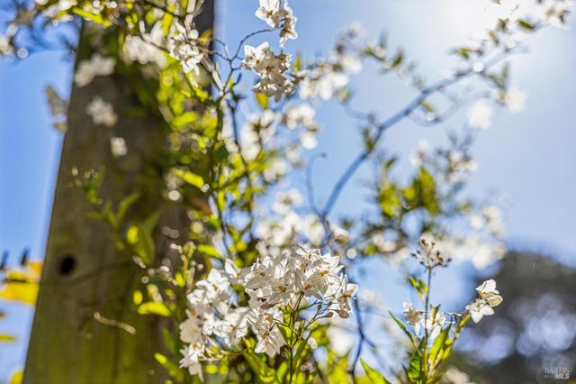 47 Main Dr, San Rafael, CA 94901