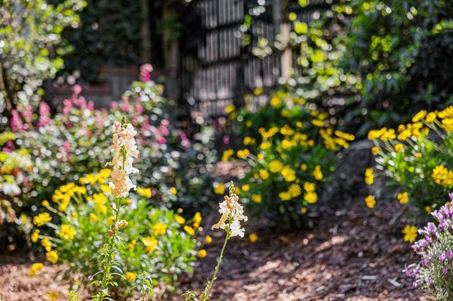 47 Main Dr, San Rafael, CA 94901