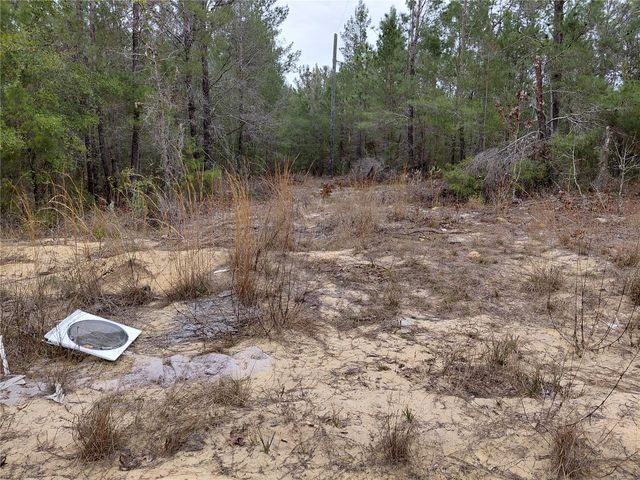 0 OAK TERRACE, Interlachen, FL 32148