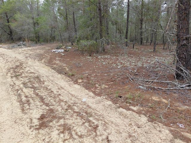 0 OAK TERRACE, Interlachen, FL 32148