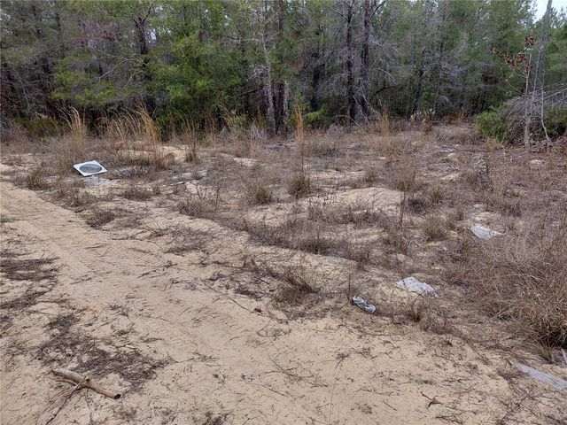 0 OAK TERRACE, Interlachen, FL 32148