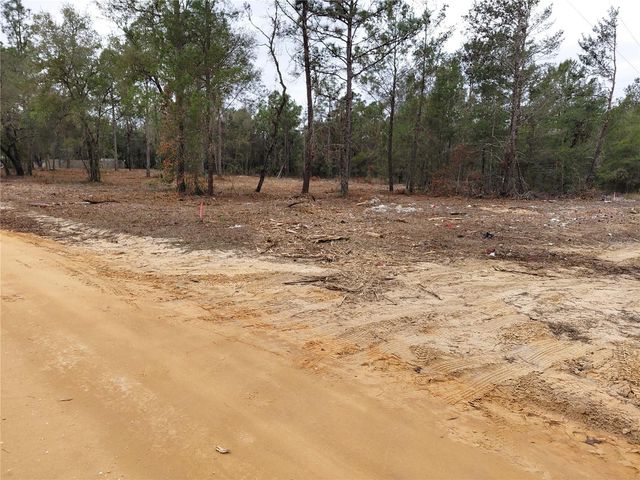 0 OAK TERRACE, Interlachen, FL 32148