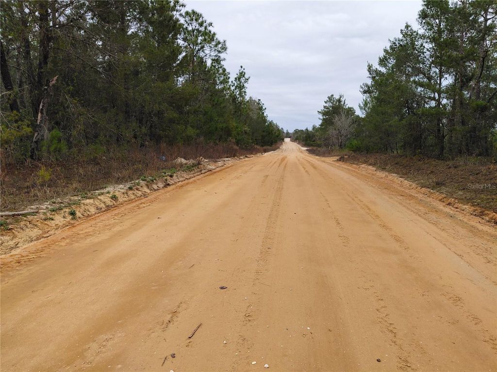 0 OAK TERRACE, Interlachen, FL 32148