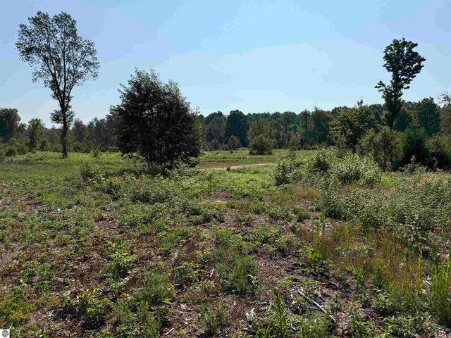 Parcel A8 S Bright Road, Maple City, MI 49664