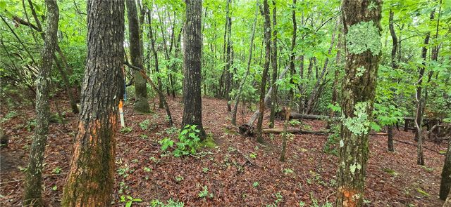 001 Lenore B Lane, Mountain Rest, SC 29664