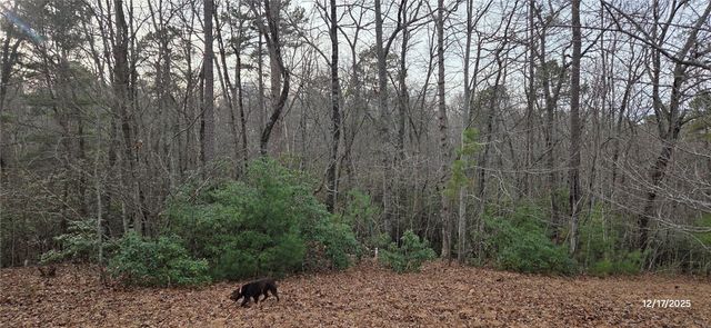 001 Lenore B Lane, Mountain Rest, SC 29664