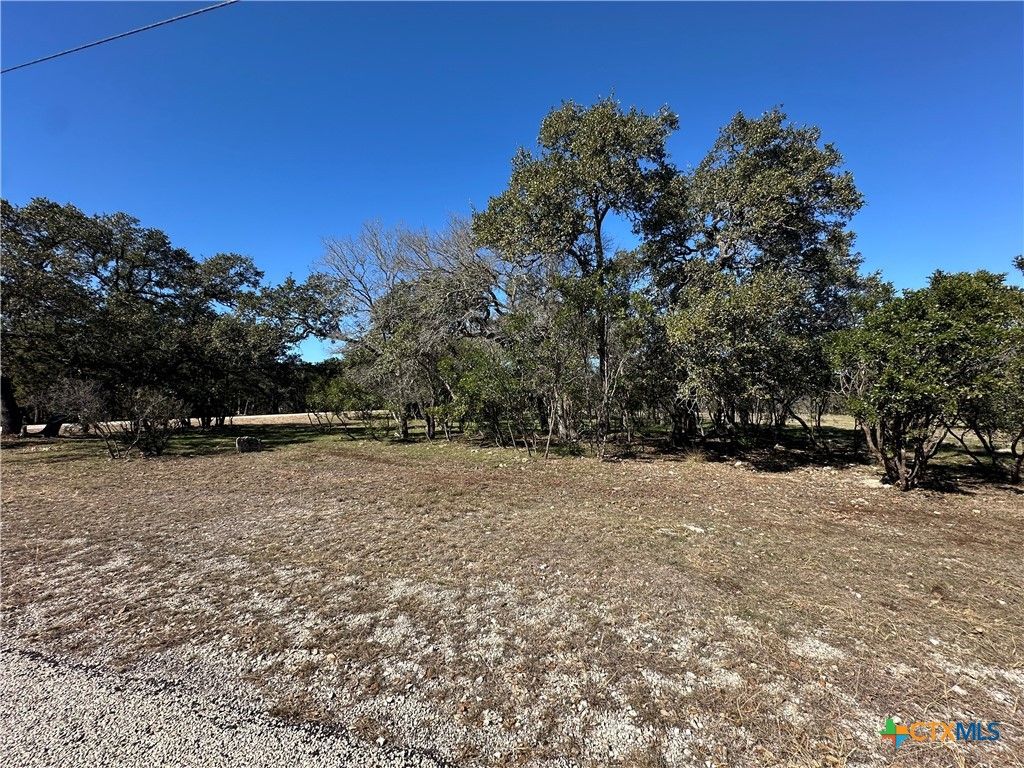 821 Wild turkey Run, New Braunfels, TX 78132