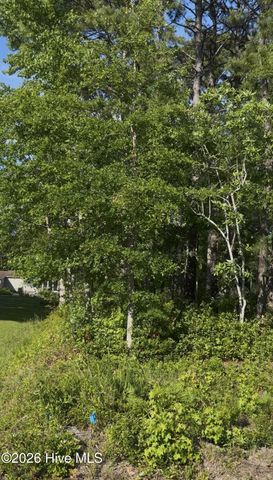 57 Pinewood Drive, Calabash, NC 28467