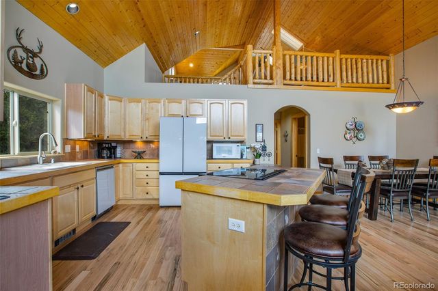 2649 COIL Drive, Fairplay, CO 80440