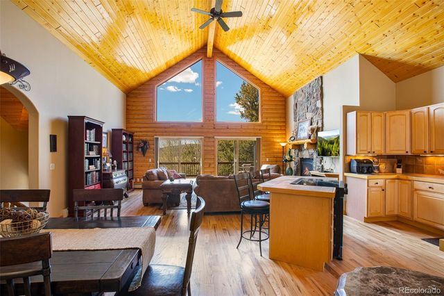 2649 COIL Drive, Fairplay, CO 80440