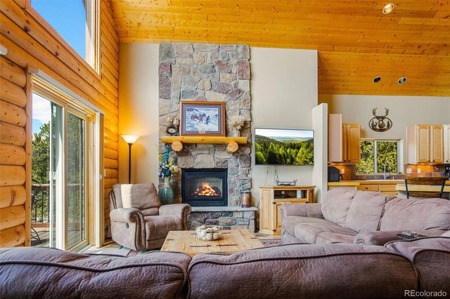 2649 COIL Drive, Fairplay, CO 80440