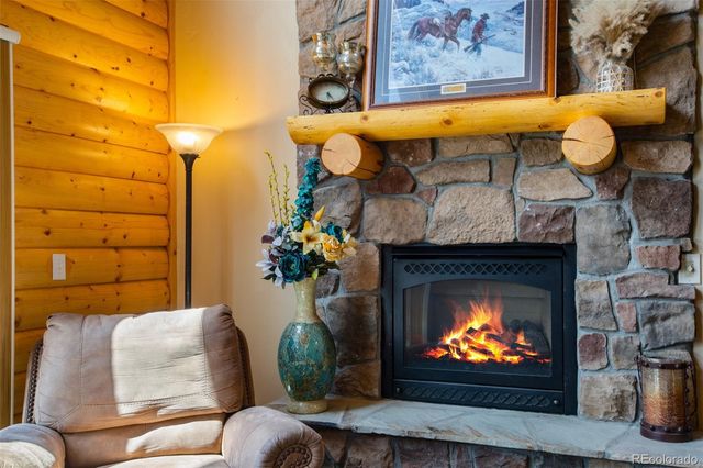 2649 COIL Drive, Fairplay, CO 80440