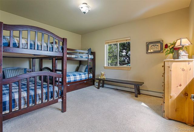 2649 COIL Drive, Fairplay, CO 80440
