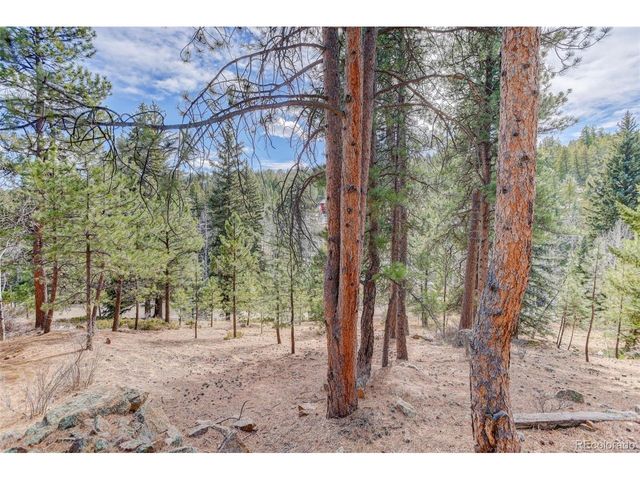 6346 King Rd, Evergreen, CO 80439
