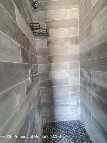 11414 Eskimo Curlew Road, Brooksville, FL 34613