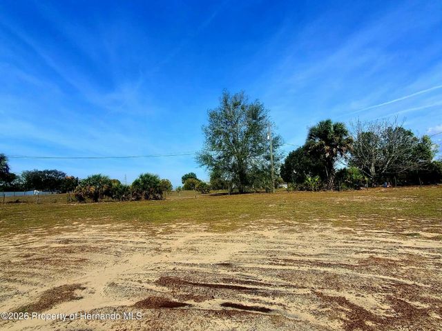 11414 Eskimo Curlew Road, Brooksville, FL 34613