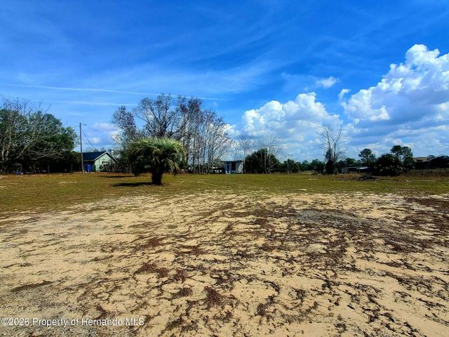 11414 Eskimo Curlew Road, Brooksville, FL 34613