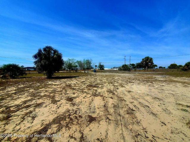 11414 Eskimo Curlew Road, Brooksville, FL 34613