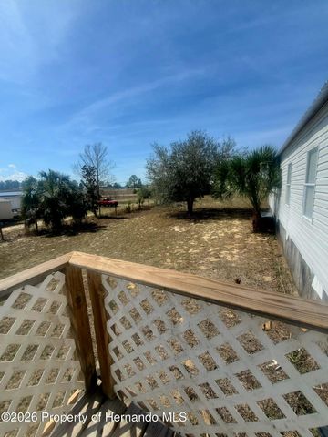 11414 Eskimo Curlew Road, Brooksville, FL 34613
