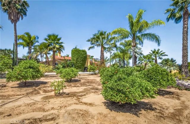 11530 Terracina Boulevard, Redlands, CA 92373
