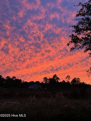 35 Scotlands Court, Hampstead, NC 28443