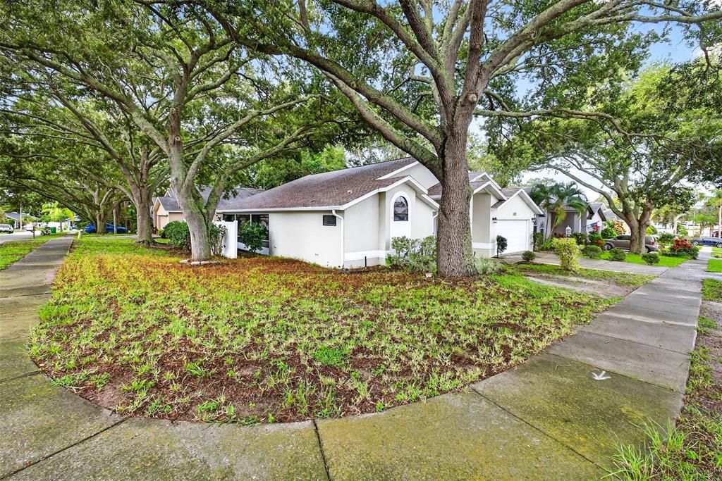 890 KRISWELL COURT, Palm Harbor, FL 34683
