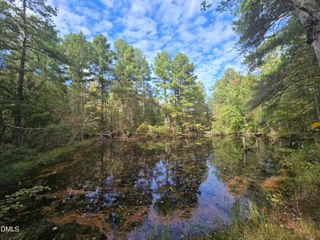 0 Bass Mountain Road, Snow Camp, NC 27349