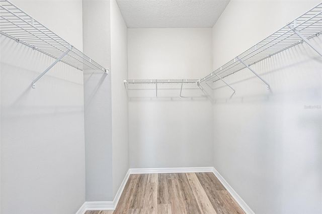 11919 MAJOR TURNER RUN, Parrish, FL 34219
