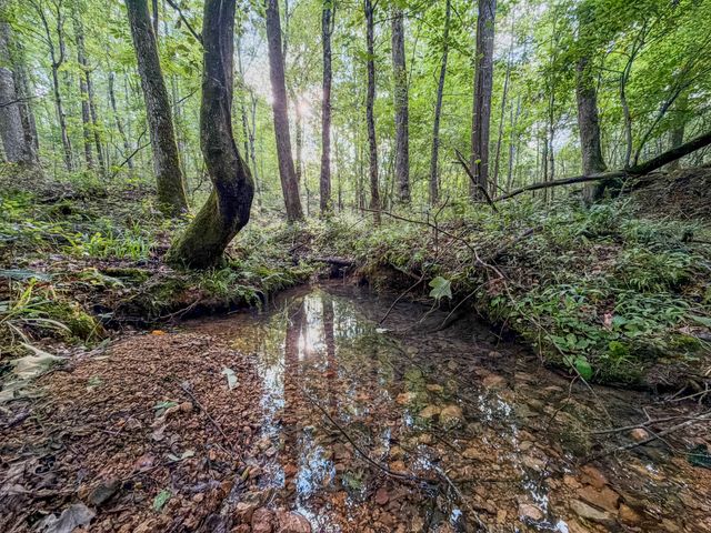 164 Center Ridge Dr, Hohenwald, TN 38462